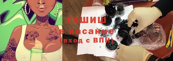 ECSTASY Бородино