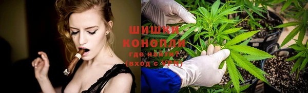 ПСИЛОЦИБИНОВЫЕ ГРИБЫ Беломорск