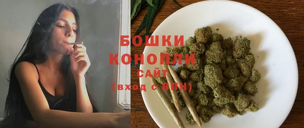 бошки Бронницы