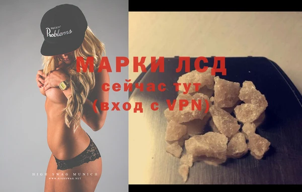 ECSTASY Бородино