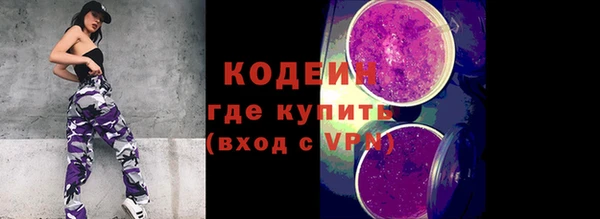 ECSTASY Бородино
