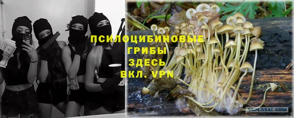 прущий лед Белокуриха