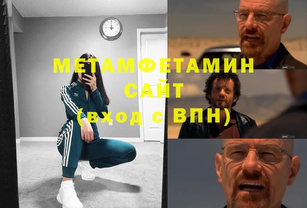 шишки Богородицк