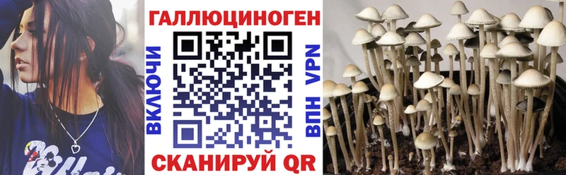 Псилоцибиновые грибы MAGIC MUSHROOMS купить Белёв